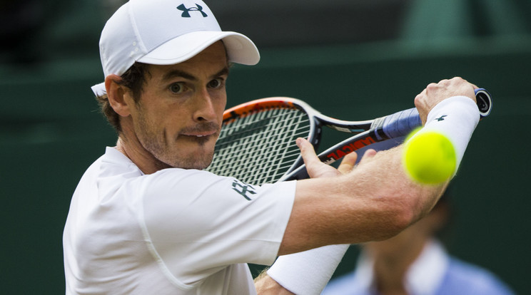 Andy Murray / Fotó:Northfoto