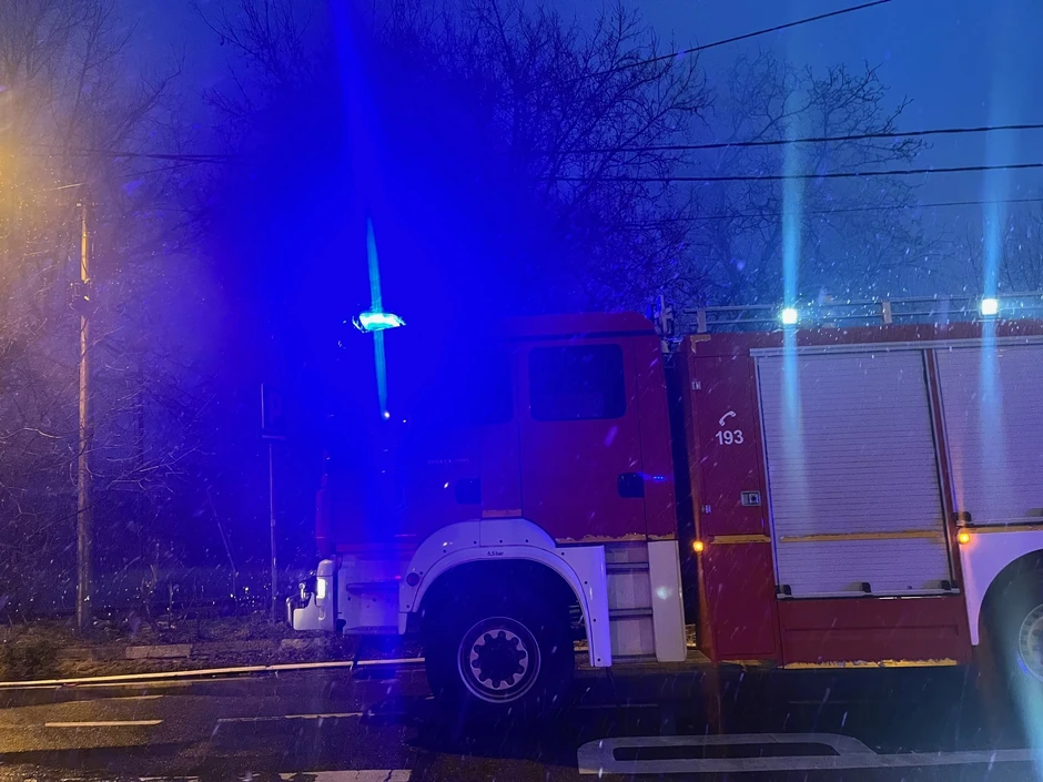 Tomislav Žigmanov i Nikola Starović 