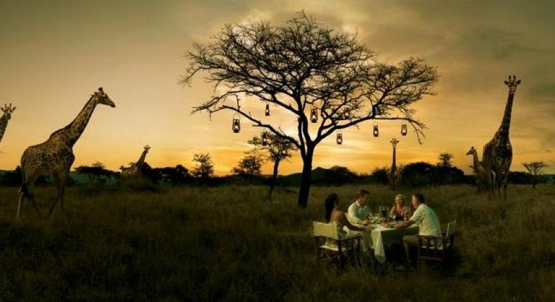 Bush dinner with giraffes as guests