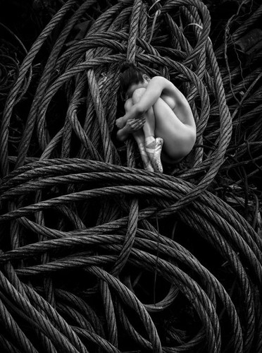 Zdjęcia z kalendarza na 2013 rok