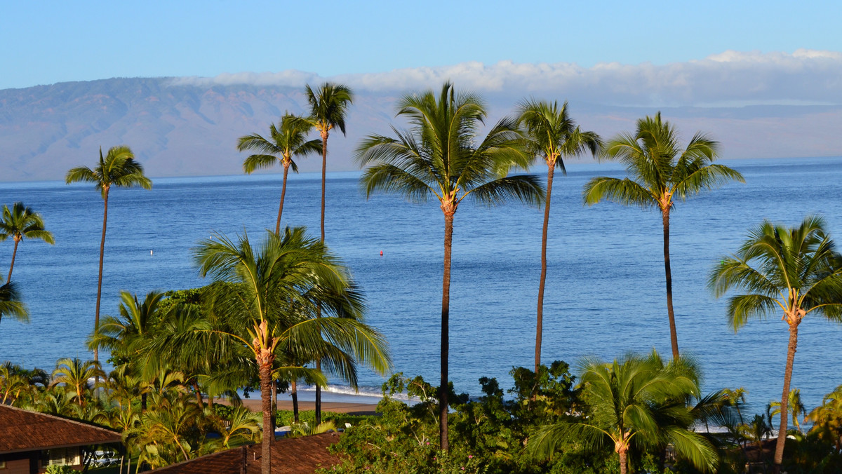 Hawaje to pięćdziesiąty, najmłodszy stan USA, który stał się ich częścią w 1959 roku. Jest to jedyny amerykański stan położony wyłącznie na wyspach i jednocześnie najbardziej wysunięta na północ grupa wysp w Polinezji, zajmująca większość archipelagu w środkowej części Oceanu Spokojnego. Stolicą stanu jest Honolulu leżące na wyspie Oahu. 