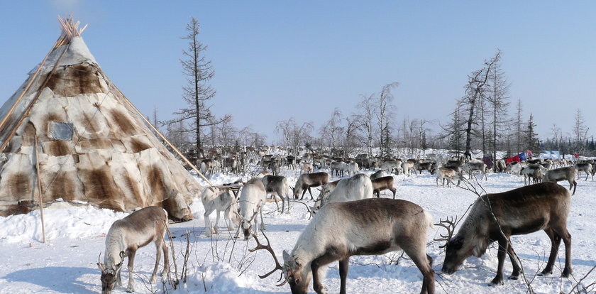 Mroźna i tajemnicza Syberia