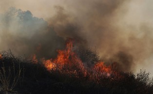 Świat płonie. Ludzkość wyemitowała rekordową ilość CO2, a 2024 był najcieplejszym rokiem od blisko 150 lat