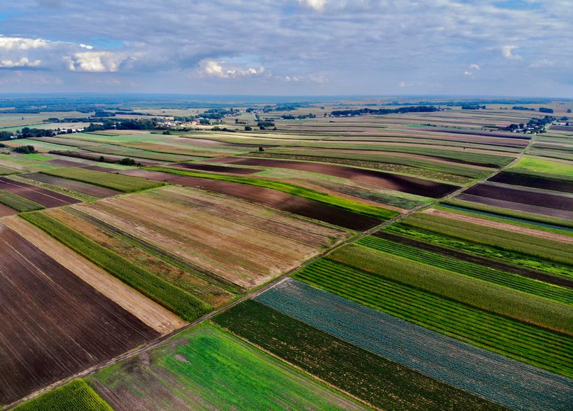 Pola w okolicy miejscowości Księżpol