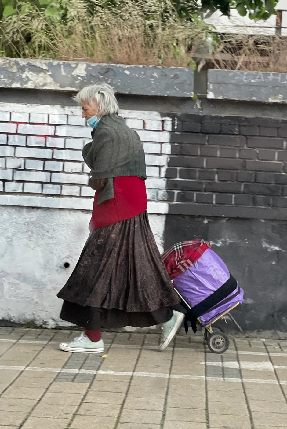 Vesna Pećanac danas