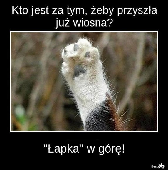 "Gdzie ta wiosna?!" — mimo zimna internautów nie opuszcza poczucie humoru