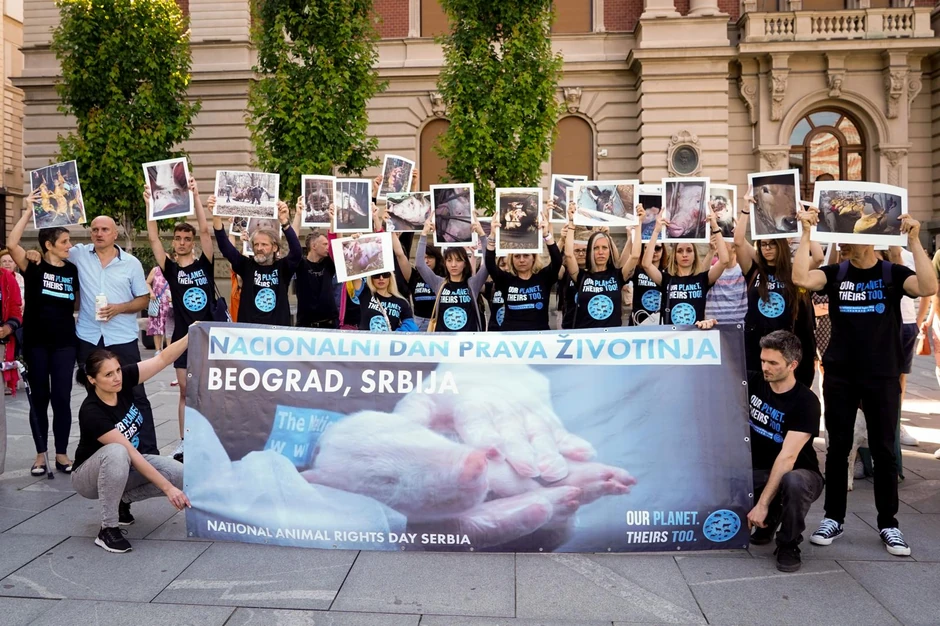 Akcija pokrenuta sa idejom da više govori o pravima životinja