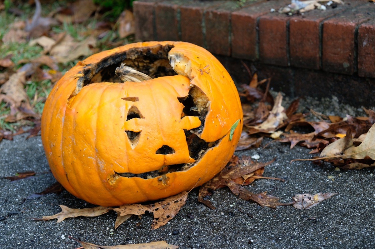 Dynia na Halloween to marnowanie żywności. Co zrobić z dynią po Halloween?