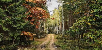 Jaka będzie pogoda w tym tygodniu? Sprawdź! To ważne!