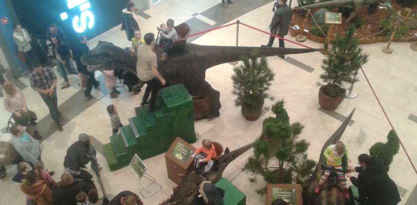 Dinozaury chodzą po galerii