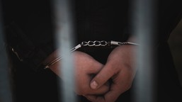 cbśp rozbiło międzynarodowy gang