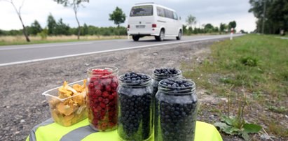 Uwaga! Jagody trują! Chyba że...