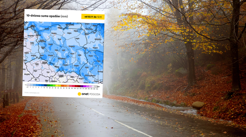 Potężny antycyklon zawładnie Polską. Pogoda szykuje długotrwały brak opadów (screen: meteologix.com)