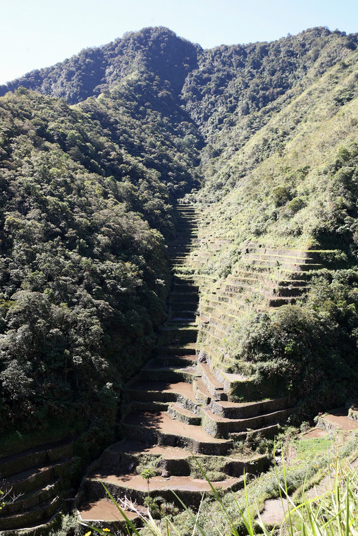 Tarasy ryżowe w Banaue, fot. Robert Pawełek, TravelCompass