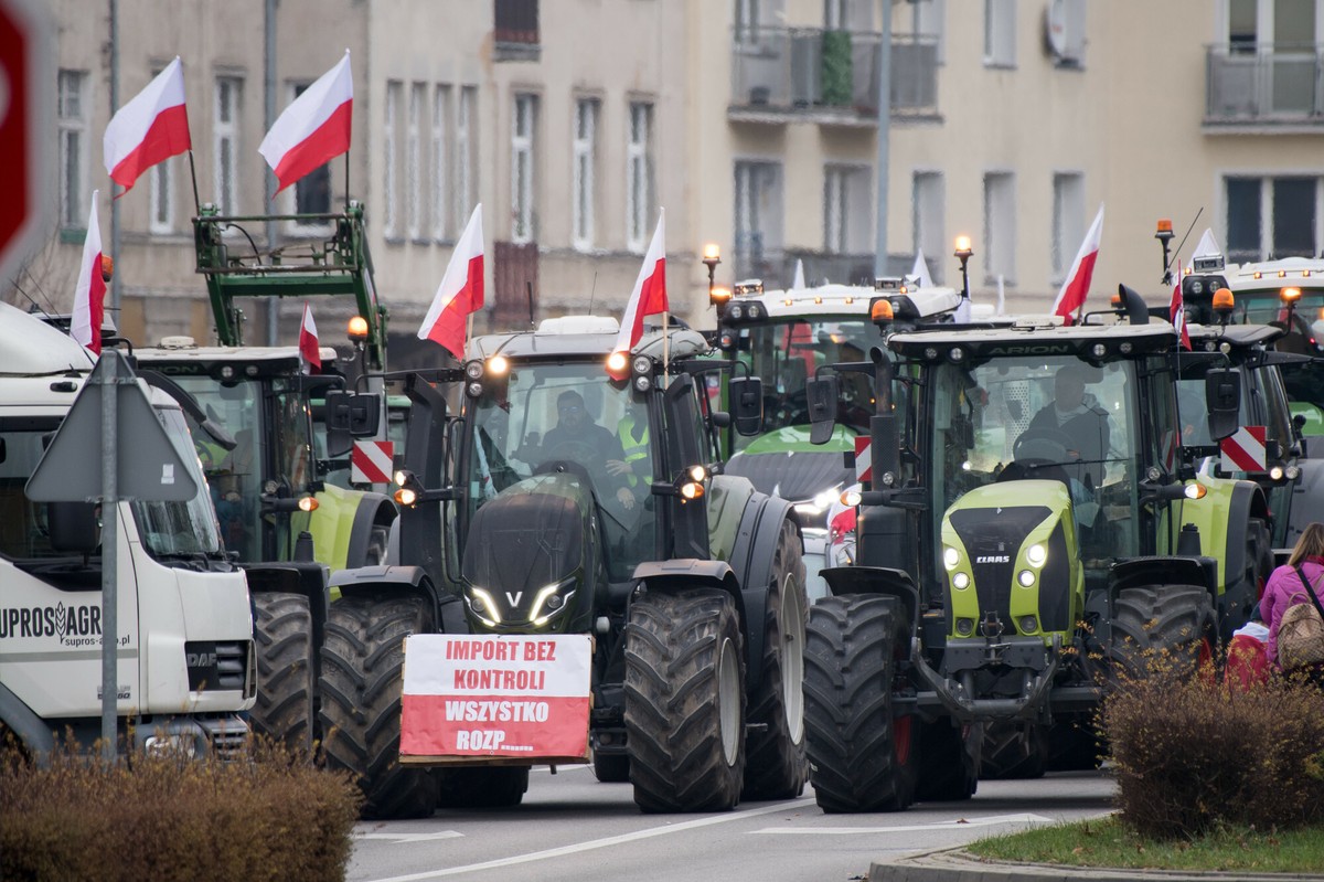 Rolnicy mogą spać spokojniej? Polska wywalczyła poprawki dla umowy z Mercosurem