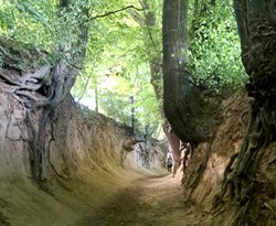 20 czerwca - dzień wolny od pracy? To święto państwowe w 2025 roku!