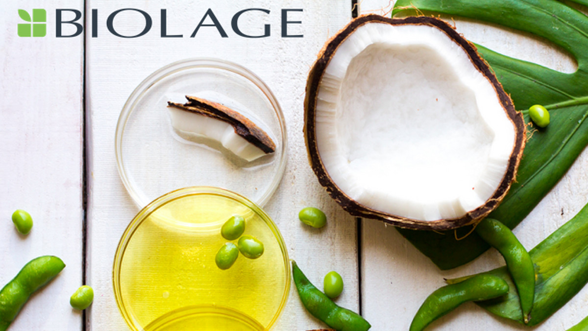 Biolage Advanced to połączenie technologii ze składnikami naturalnego pochodzenia. Gama rozszerza się o nowa linię Oil Renew, która zapobiega przesuszeniu i redukuje porowatość włosów.
