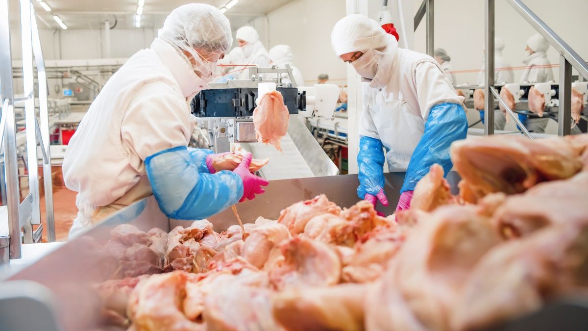Carnea ieftină de pui din China amenință producătorii din Europa: exporturi de 2,6 miliarde de dolari
