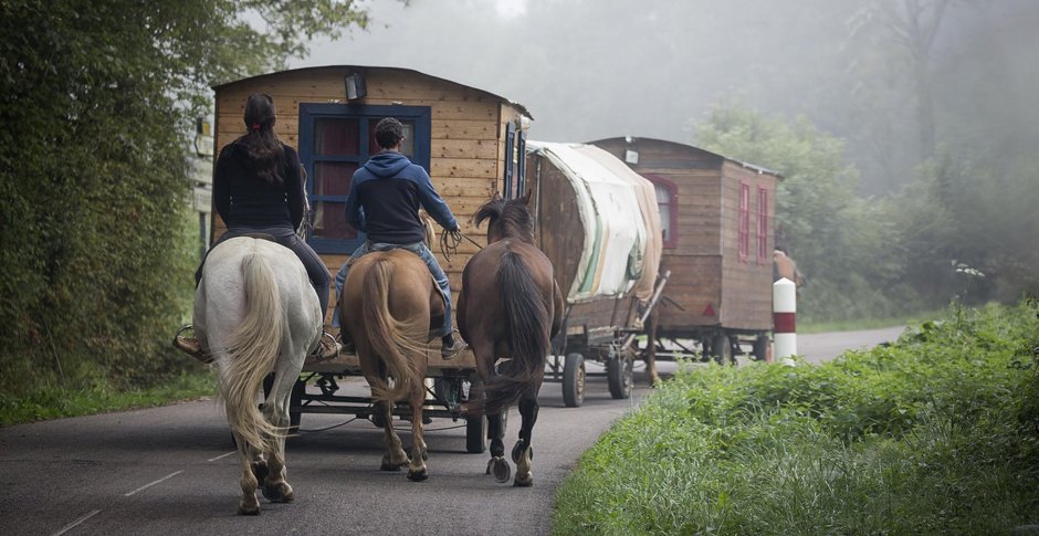 Współczesną globalną populację Romów szacuje się na około 8–15 mln.