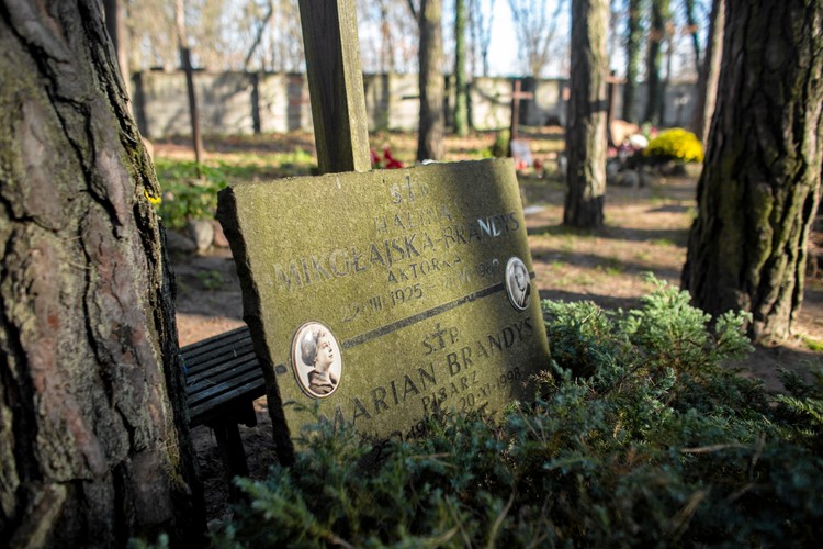 Cmentarz leśny w Laskach