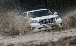 Toyota, Suzuki, Subaru i Mazda podnoszą produkcję do normalnych poziomów