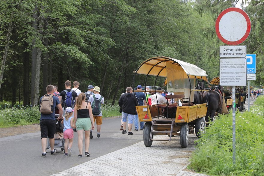 Palenica Białczańska. Fasiągi na trasie do Morskiego Oka