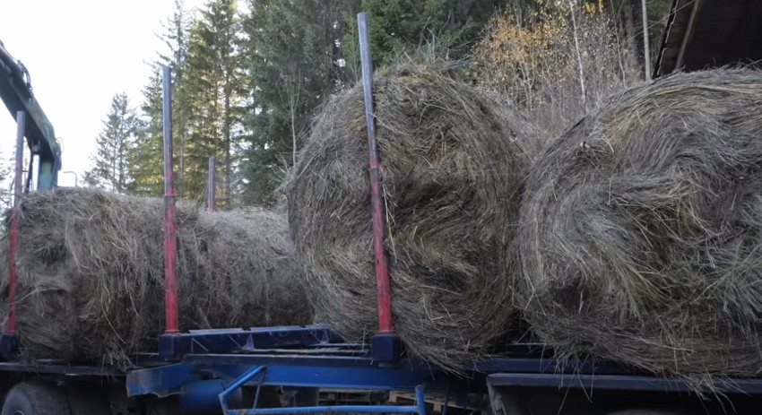 Farma Jove Vujinovića