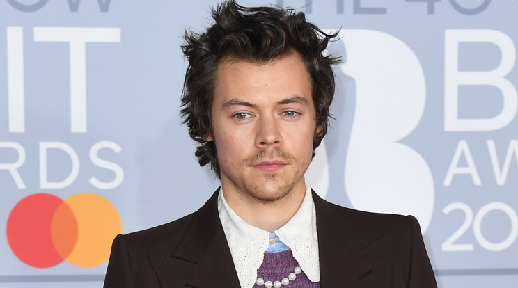 Harry Styles tudja, Olivia Wilde-nak a gyerekei a legfontosabbak /Fotó: Northfoto