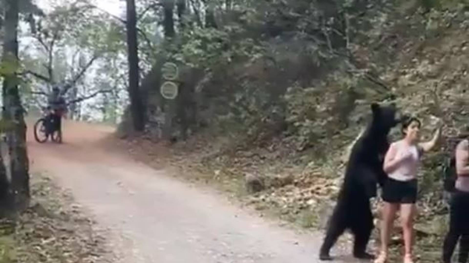 Kad bi svi bili opusteni kao devojka koja je napravila selfi sa medvedom