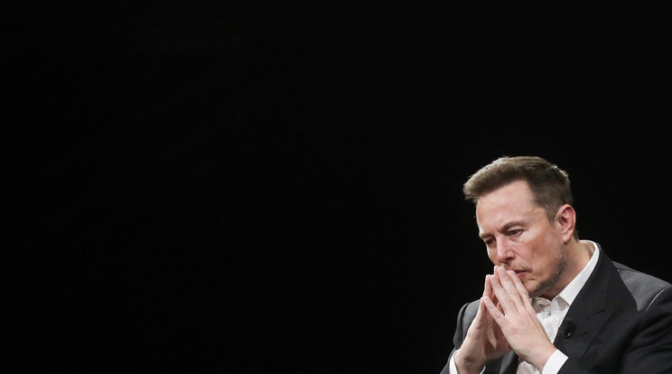 Elon Musk már javában készül a Mark Zuckerberg elleni ketrecharcra / Fotó: Northfoto