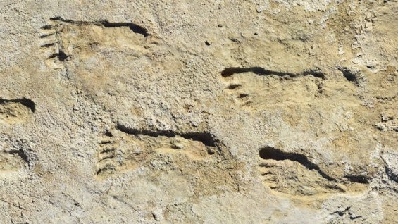 Odkryto ślady stóp, które mogą zmienić historię świata
