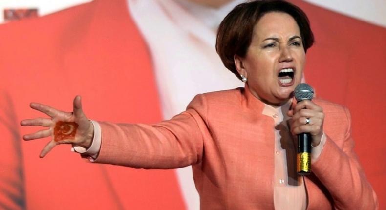 The top dissident member leading the 'No' wing of the the nationalists is former MHP leadership candidate, Meral Aksener, who rejects giving Erdogan more power.