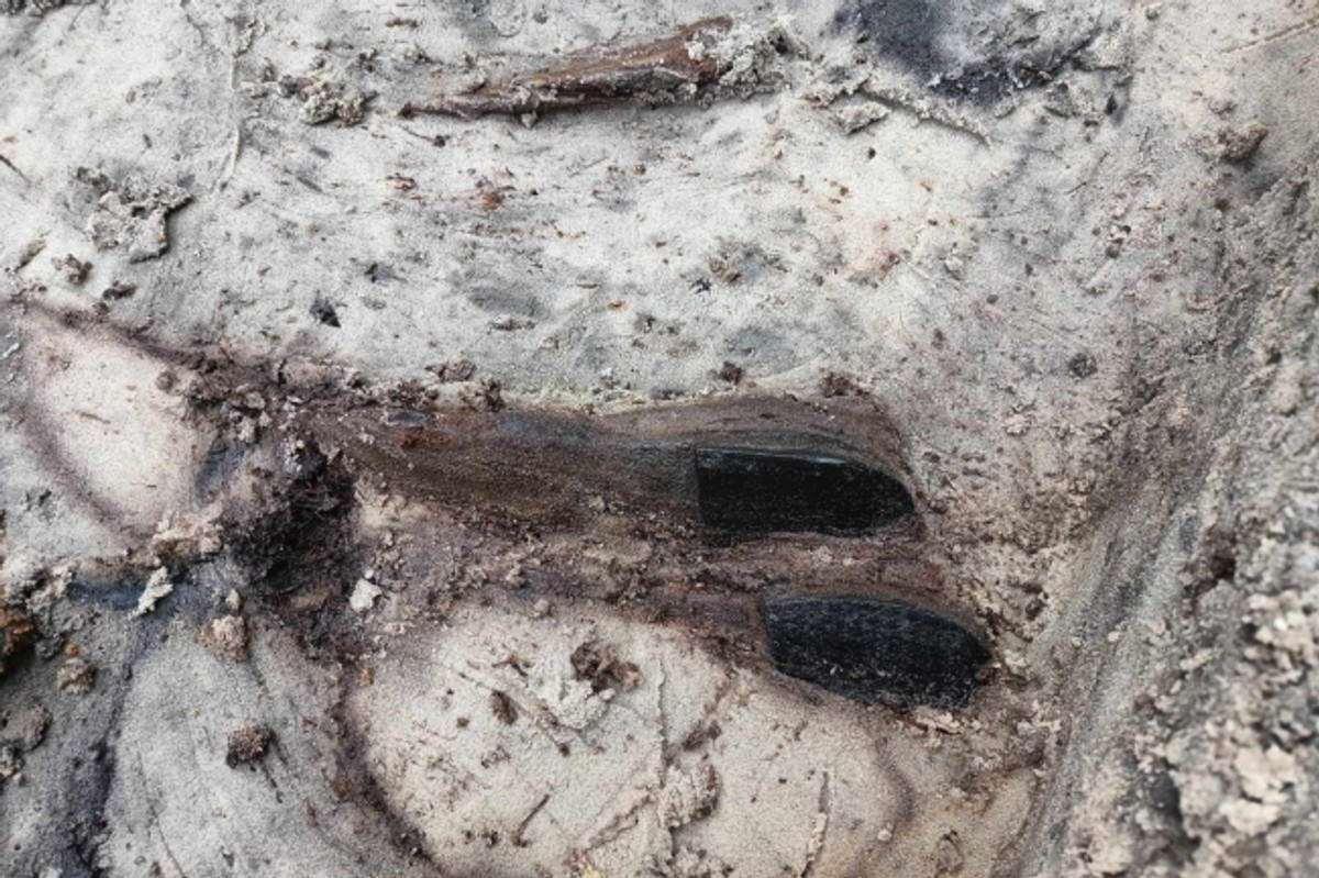 ludzkie szczątki odkryte na Westerplatte