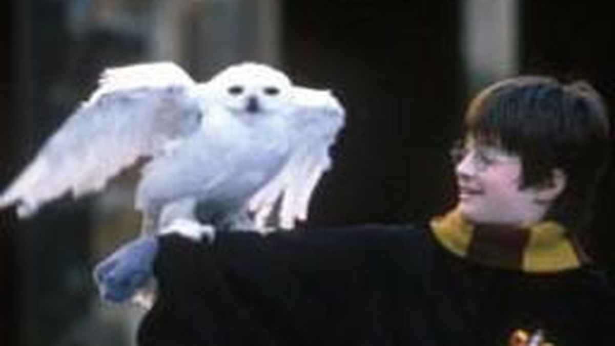 "Harry Potter i kamień filozoficzny" pobił kolejny rekord wszech czasów. Ekranizacja pierwszej części przygód o małym czarodzieju jest najlepiej wypożyczającym