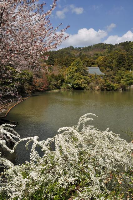 Galeria Japonia - w Kraju Kwitnącej Wiśni, obrazek 7