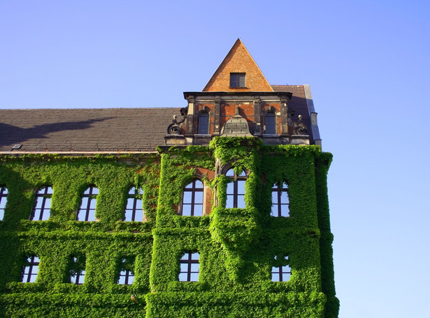 Muzeum Narodowe we Wrocławiu