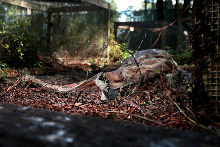 U SAD postoji sedam "farmi tela"