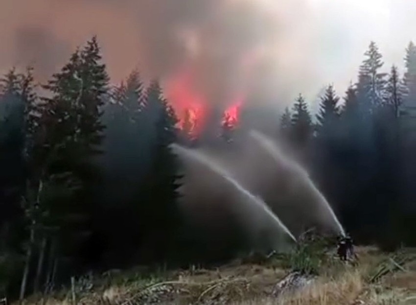 požar na Kamenoj Gori