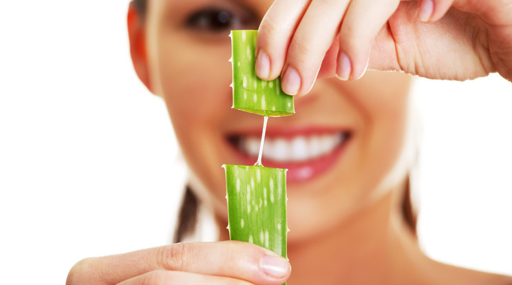 Az aloe vera nedve külsőleg és belsőleg is felhasználható/Fotó: Shutterstock