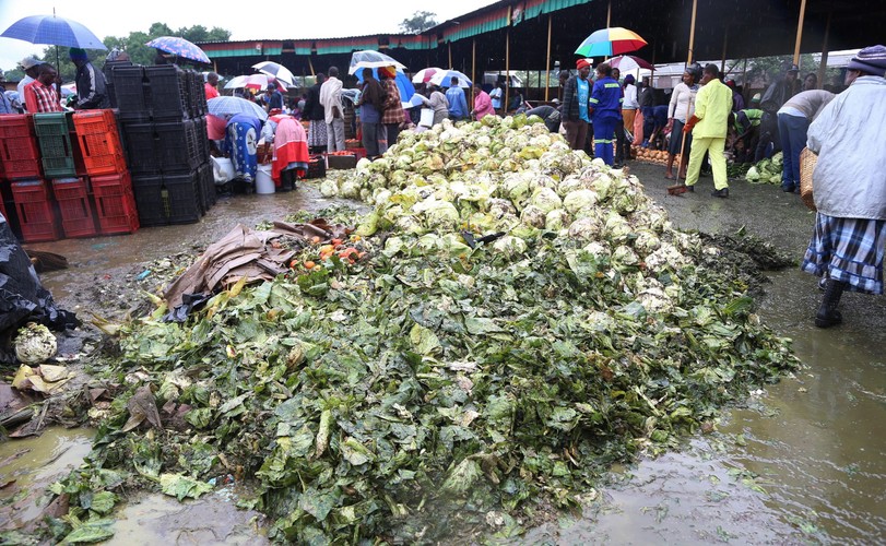 DUR BRZUSZNY CORAZ TRUDNIEJSZY DO OPANOWANIA W ZIMBABWE