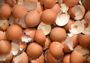 Ljuske od jajeta