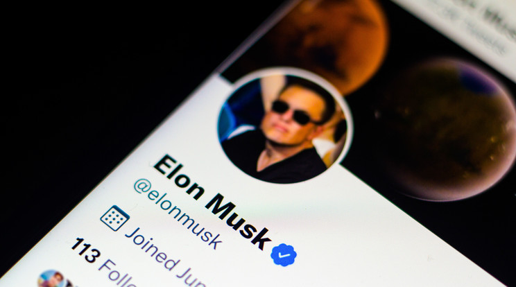 Elon Musk megvenné a Twittert / Fotó: Northfoto