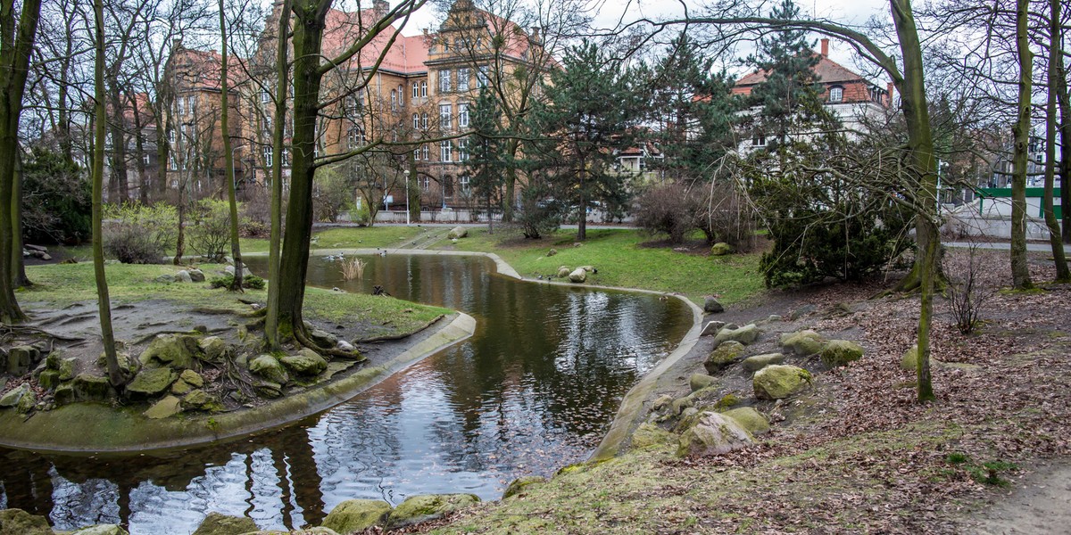 Park Wilsona w Poznaniu. 