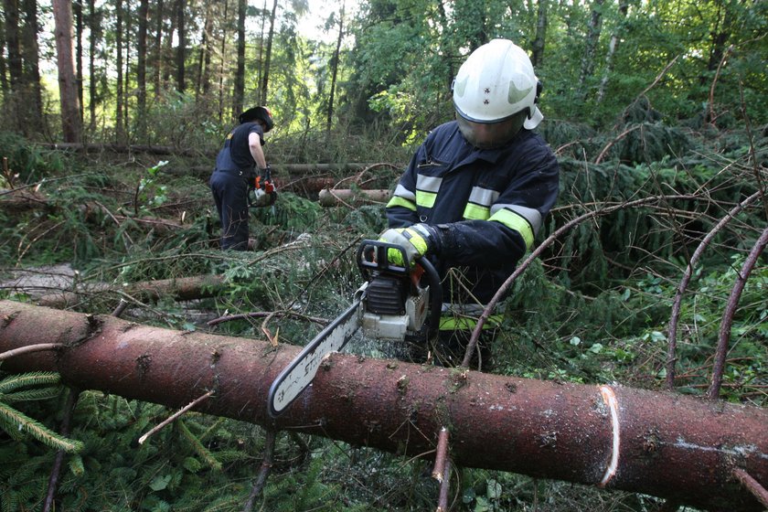 Strażacy usuwali powalone konary z dróg