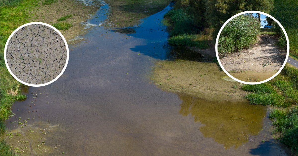 Jezioro Średzkie wysycha w rekordowym tempie – poziom wody spadł o 2 metry w rok