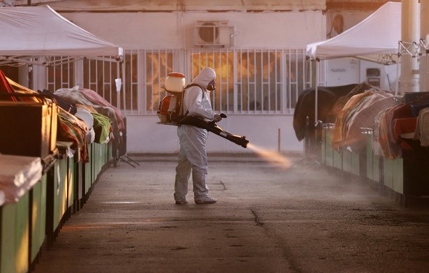 Zachodni epidemiolodzy nie badali epidemii chorób odzwierzęcych, nie mieli w tej materii żadnego doświadczenia, więc ich rady nie były trafne