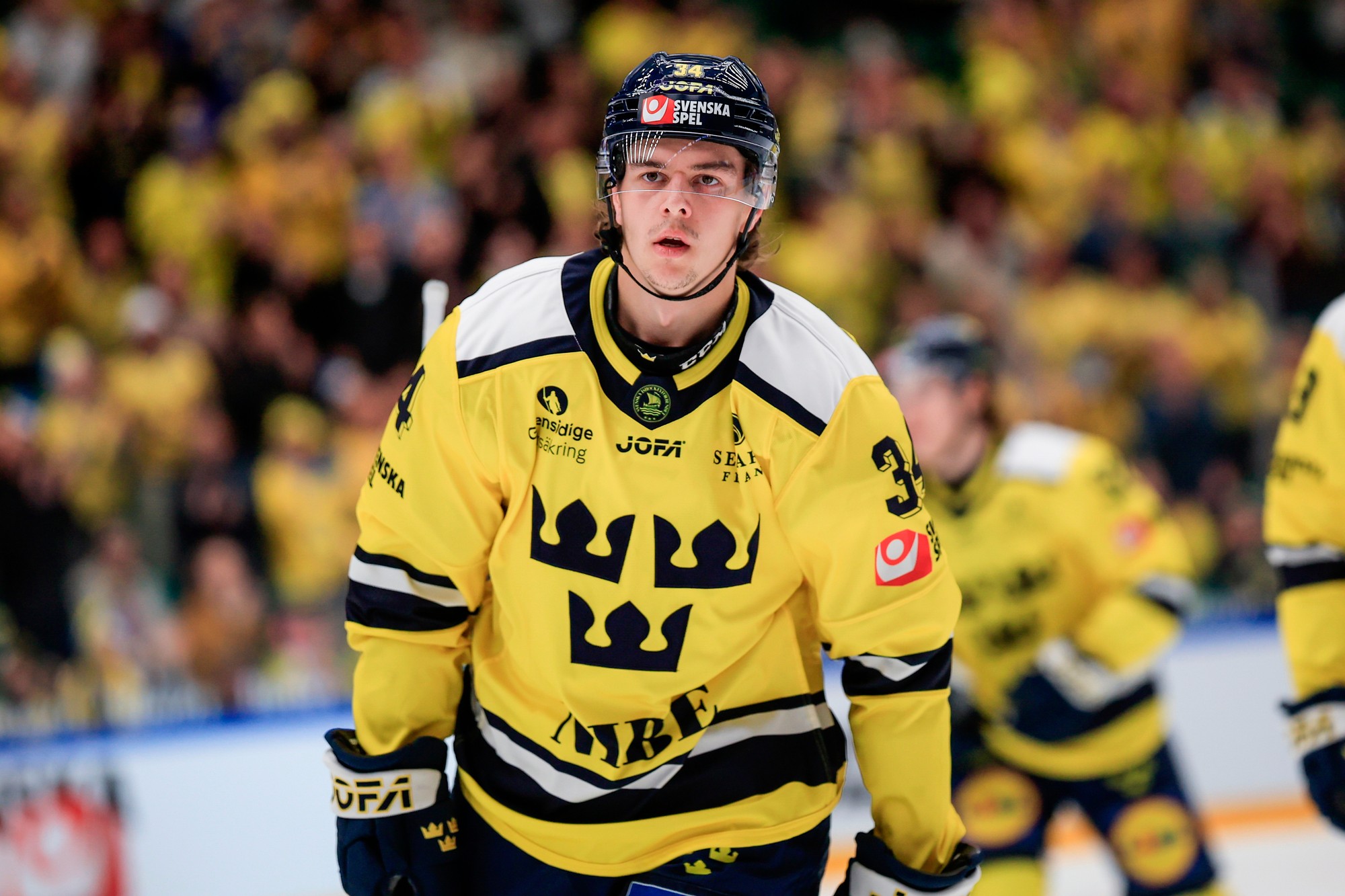 Švédsky hokejista Alberg Johansson.