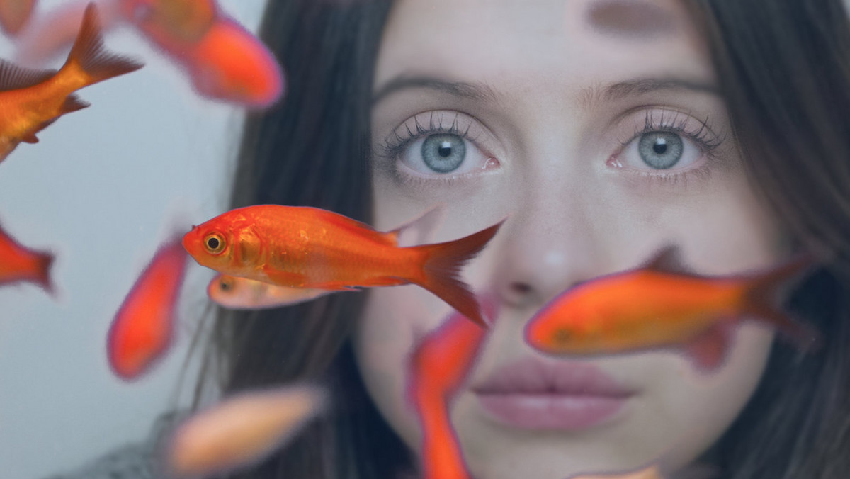 "Carrie Pilby", "Małżeńskie porachunki", "Pakt krwi" i "Matka" - oto filmy, które trafią do kin w piątek, 7 kwietnia. Prezentujemy zestawienie filmowych nowości tego tygodnia.