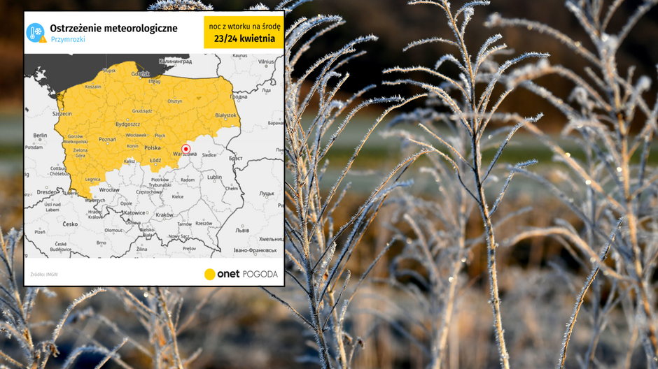 Groźne przymrozki nie dają wytchnienia. IMGW ostrzega przed kolejną bardzo zimną nocą (mapa: IMGW)