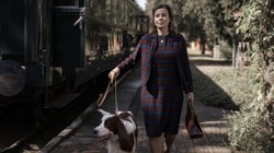 Głośny polski film nagle w streamingu. To historia najsłynniejszej polskiej zoopsycholożki